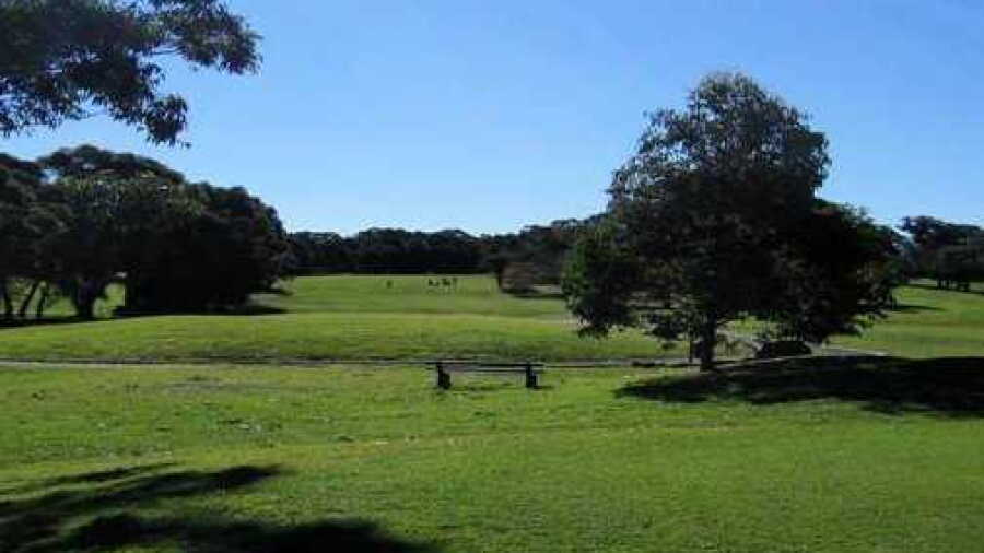 Gordon GC