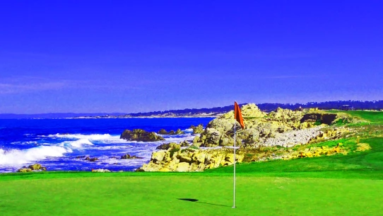 Monterey Peninsula CC - Dunes golf course - 14th