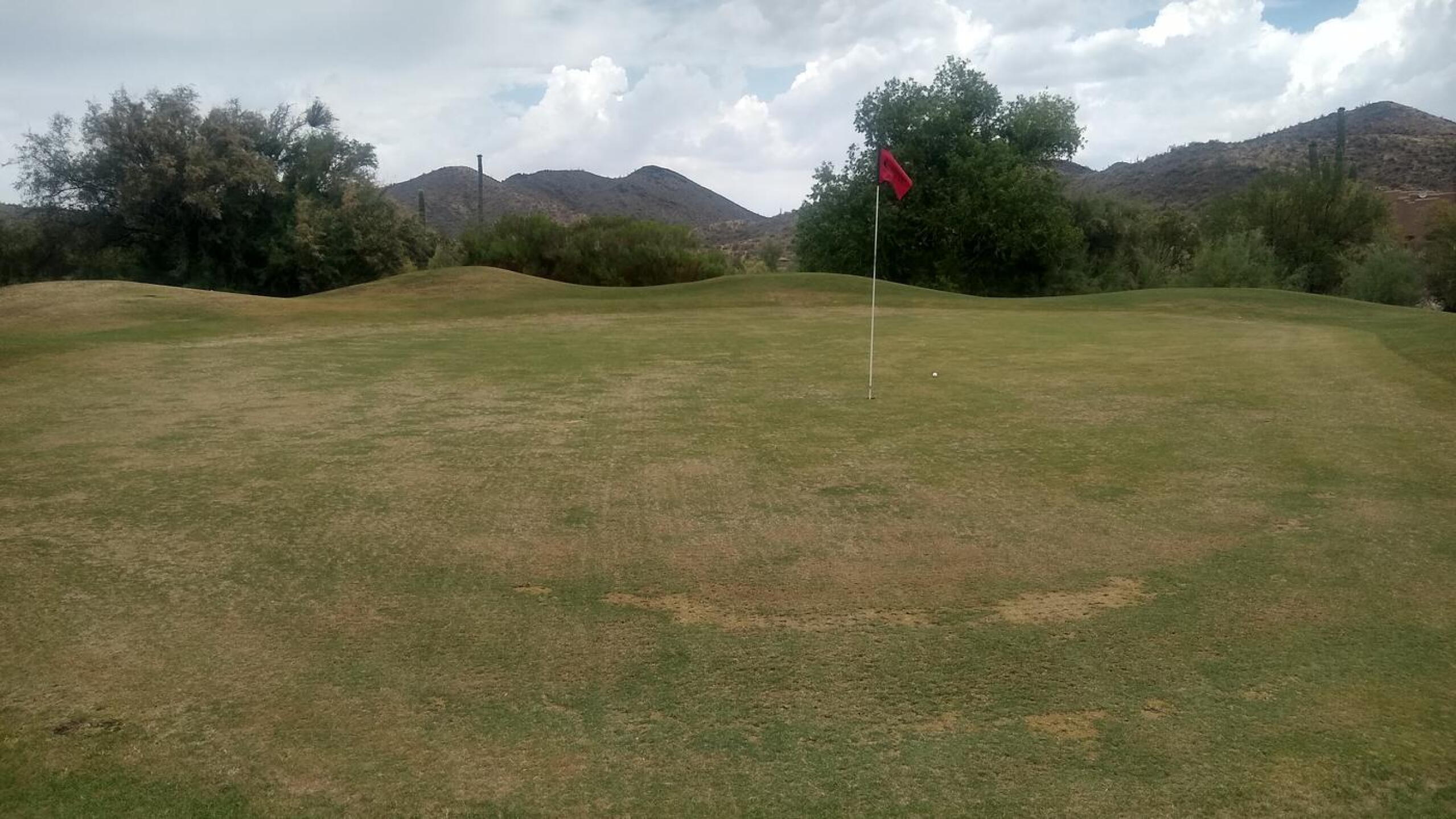 Green Hole 1 (Photo submitted by tarifachris on 06/19/2022)
