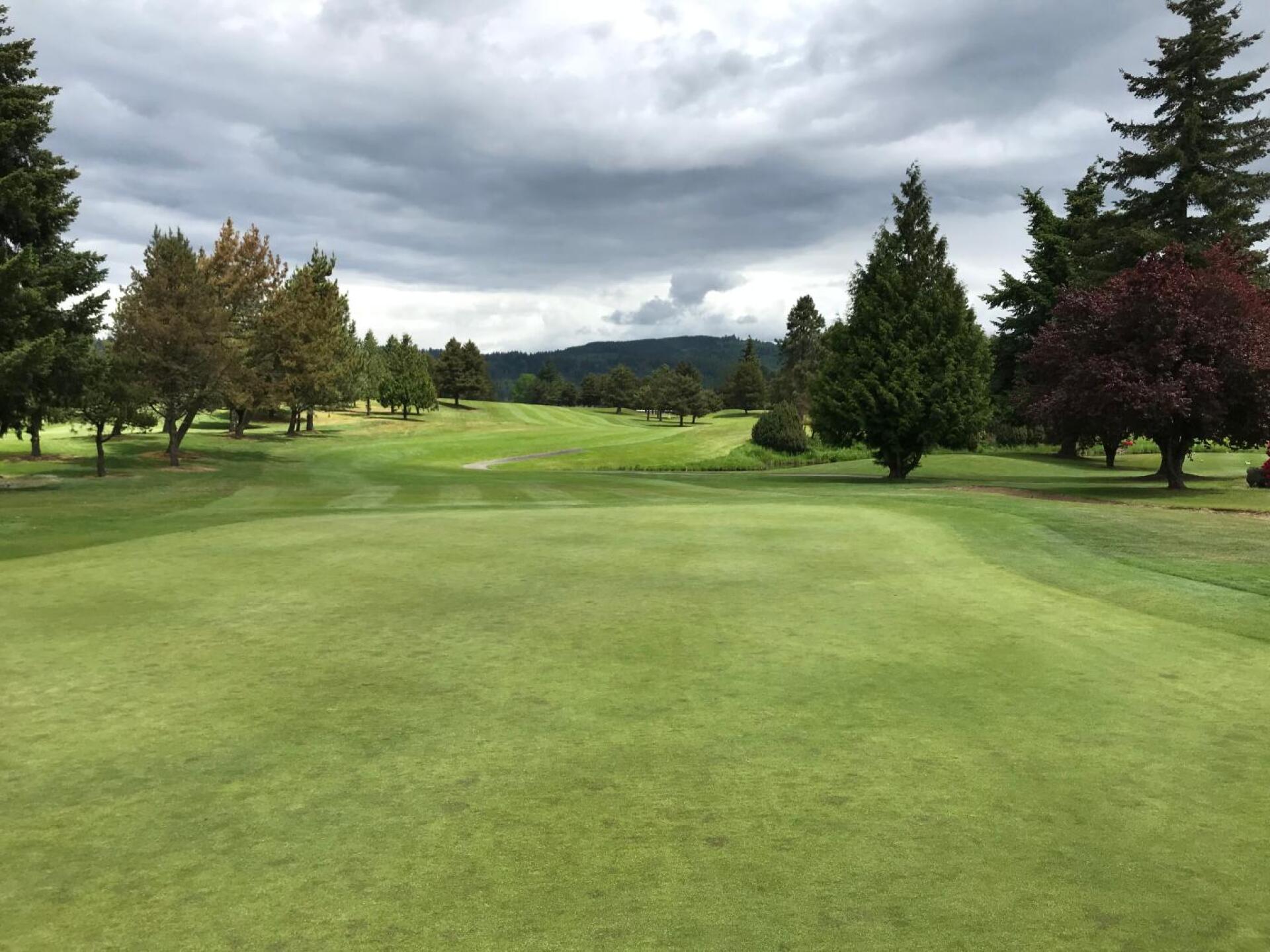 (Photo submitted by pianoman1980 on 05/18/2019)