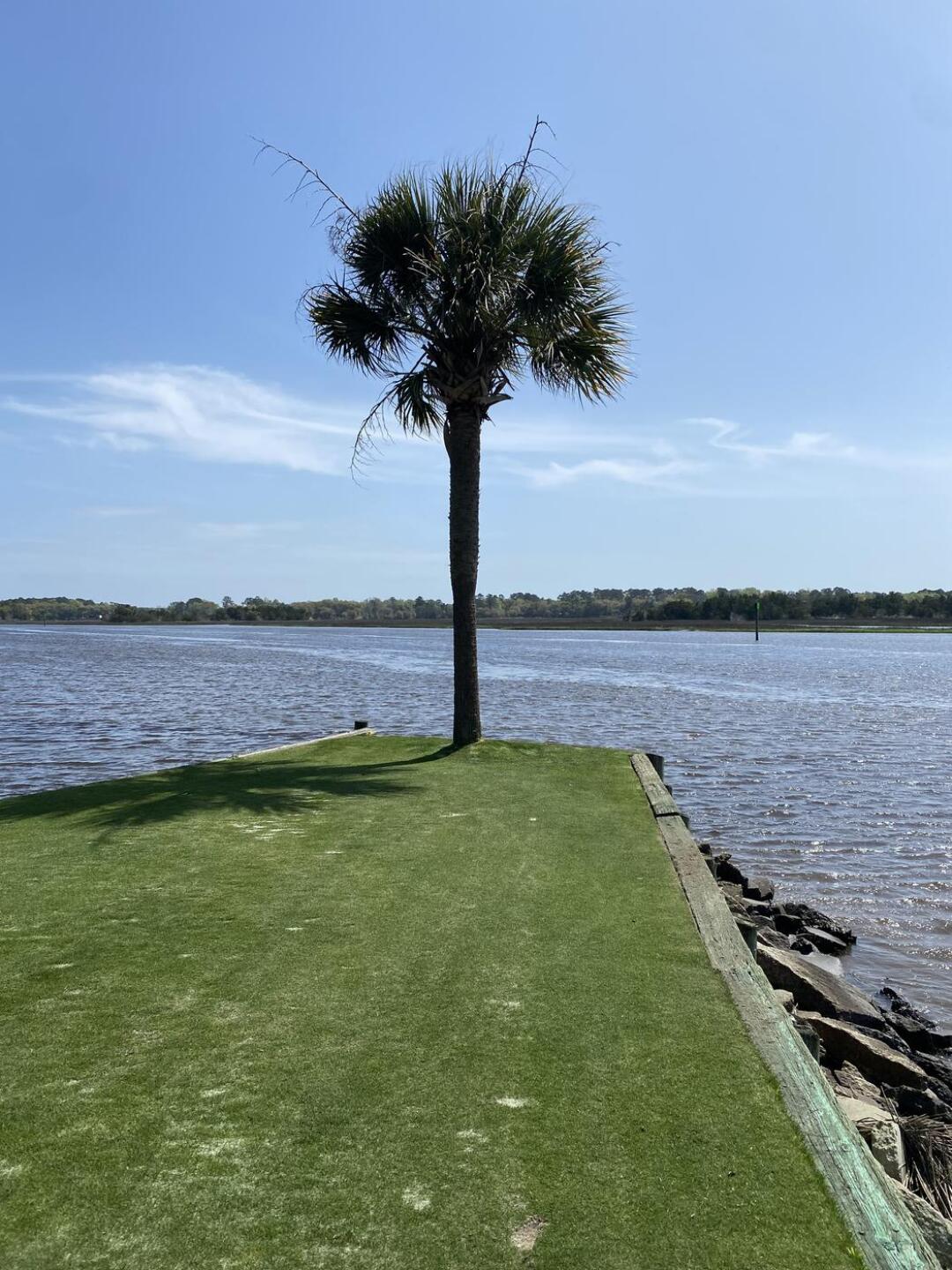 (Photo submitted by fnQ3lyWxUfPpRgVyeRKm on 03/27/2024)