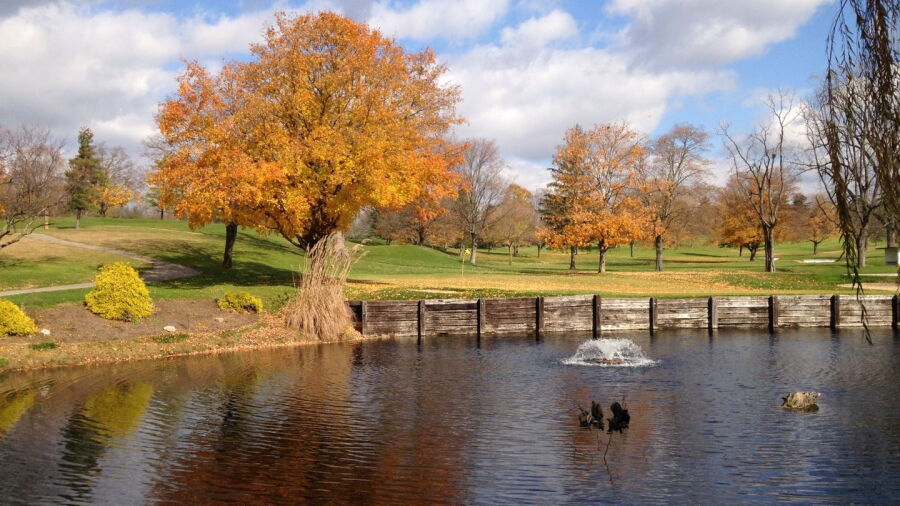 Urbana CC: #15