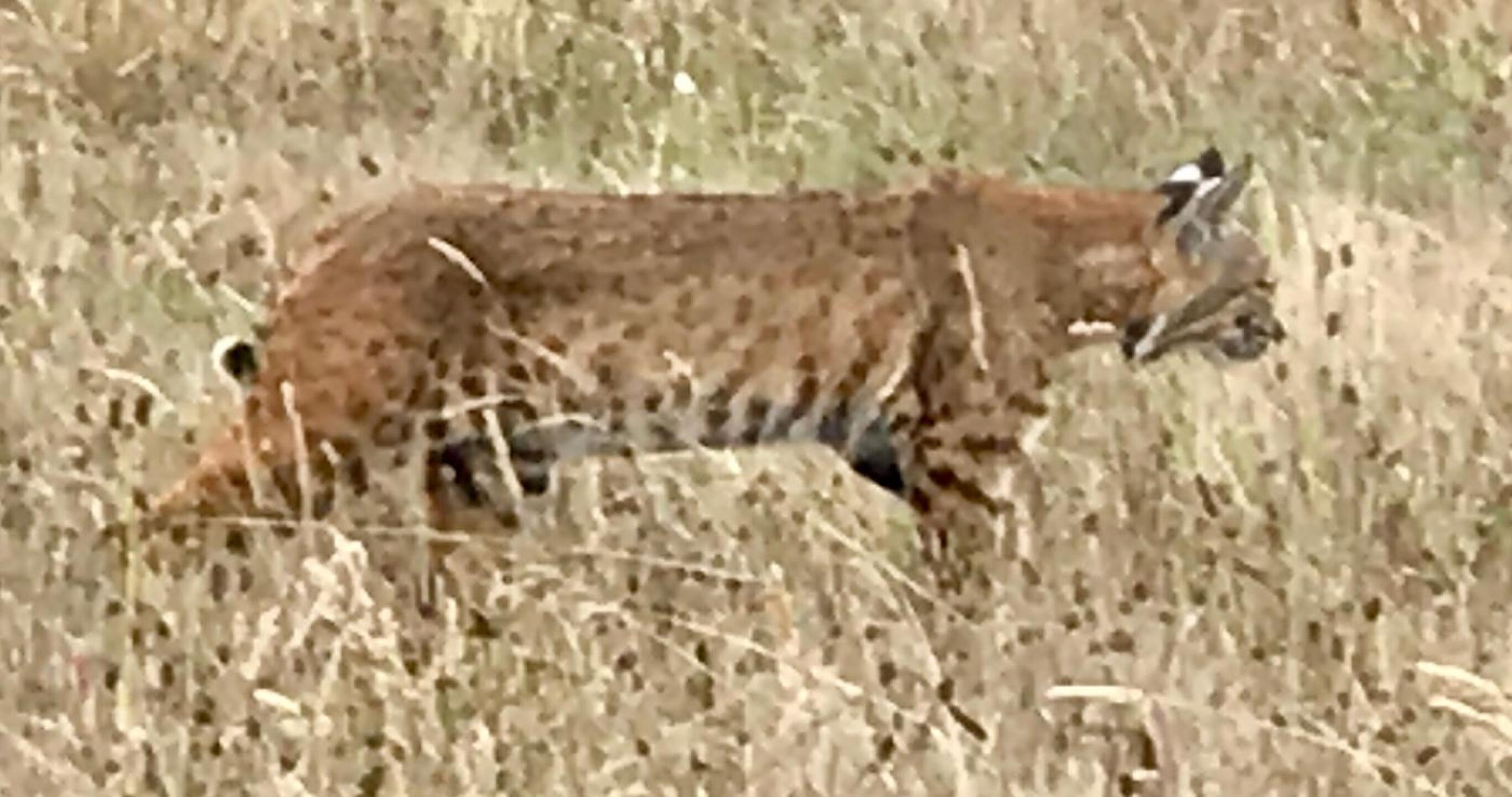 (Photo submitted by torch892 on 08/28/2019)