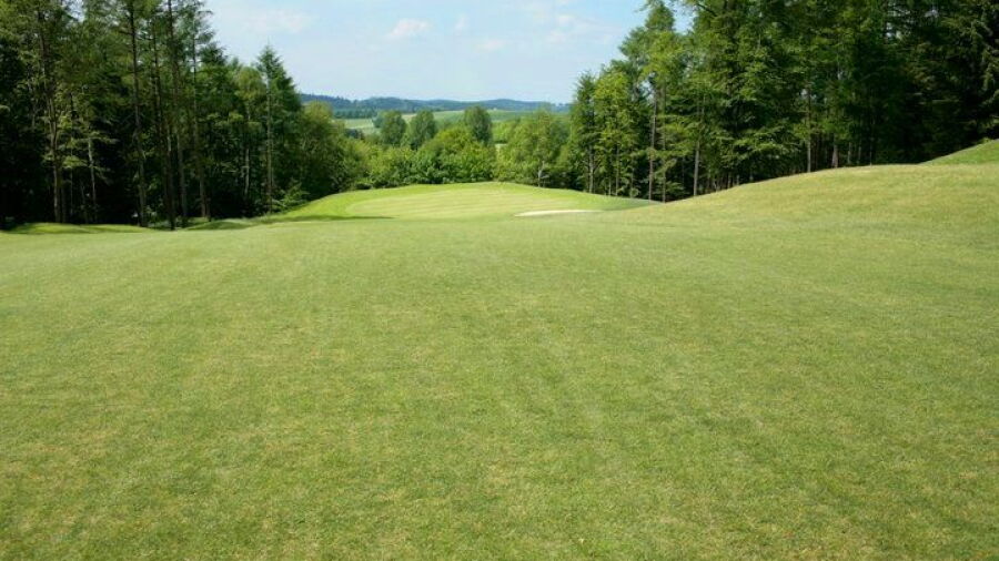 Varmert GC: #12