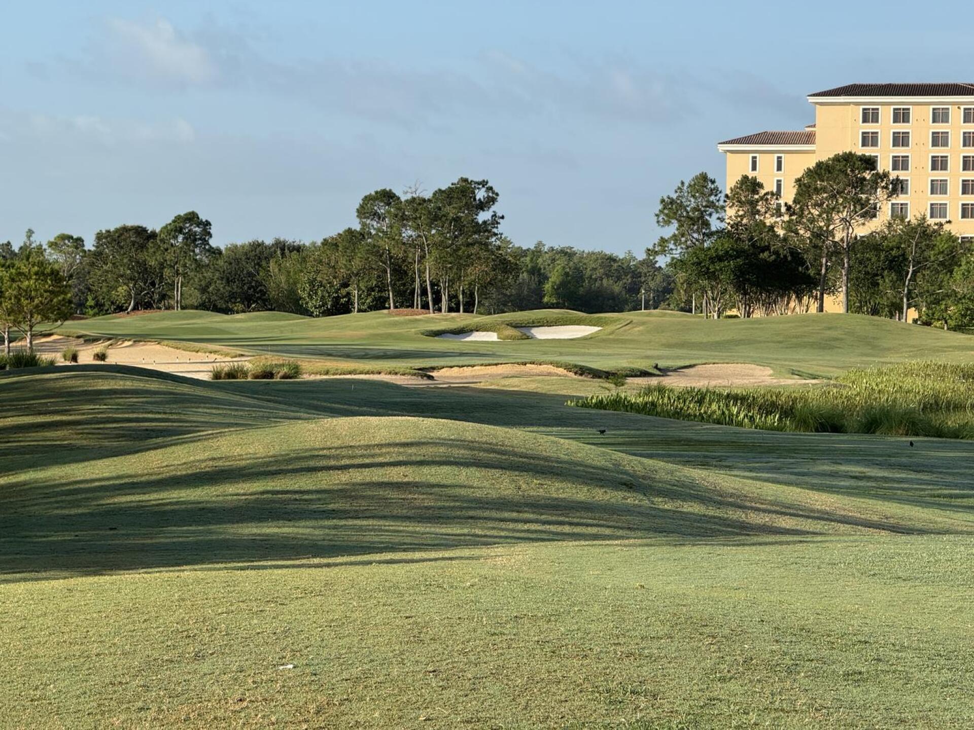 (Photo submitted by OvH8f4p1T8FXqo0LPIWh on 05/04/2025)