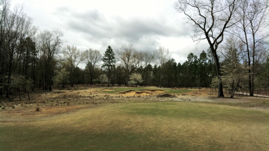 Dormie Club golf course - No. 12