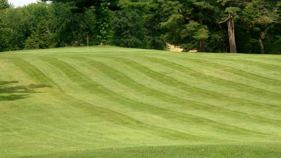 Longhi’s Golf: #2
