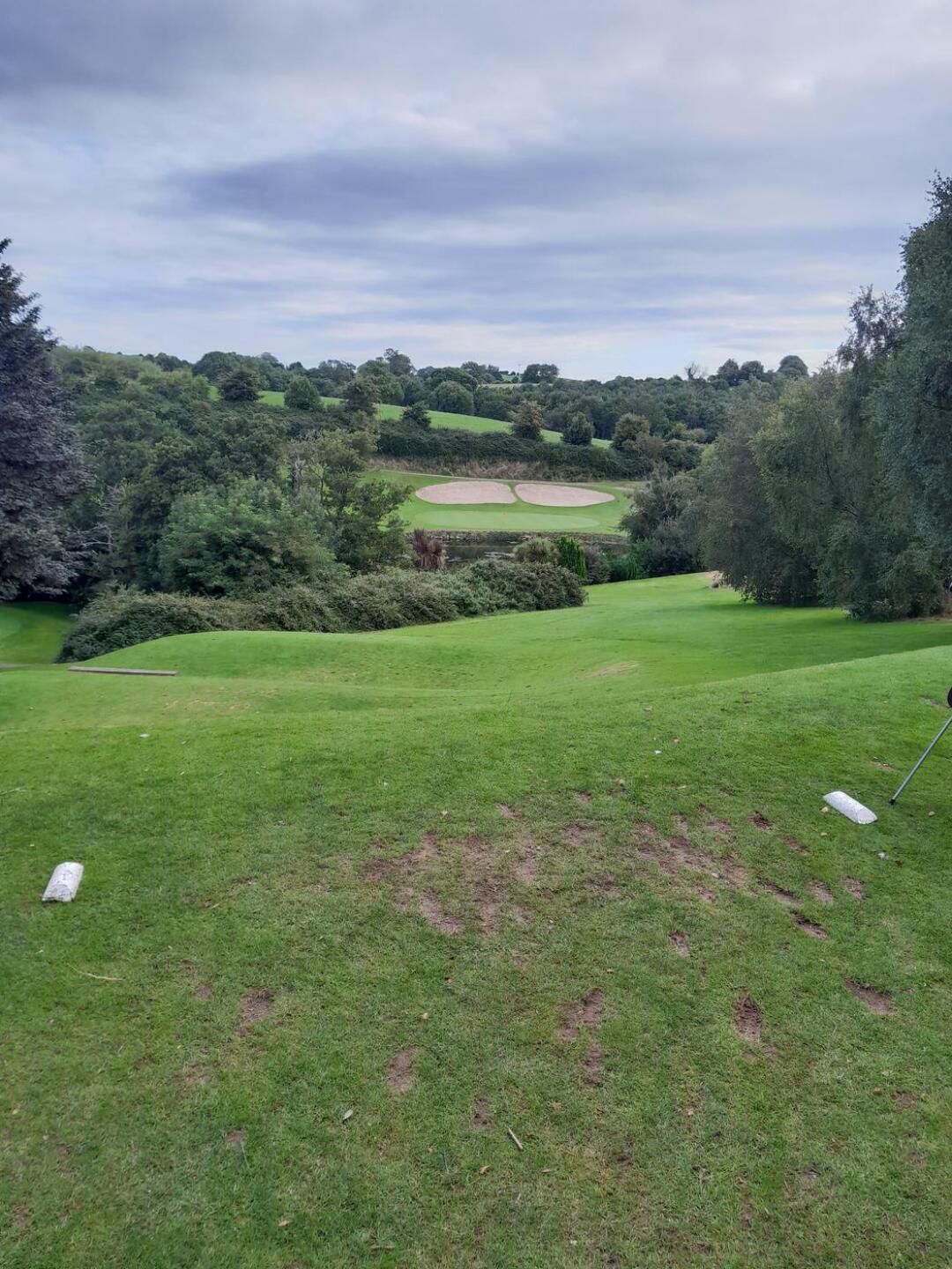 (Photo submitted by u314164337021 on 08/15/2023)