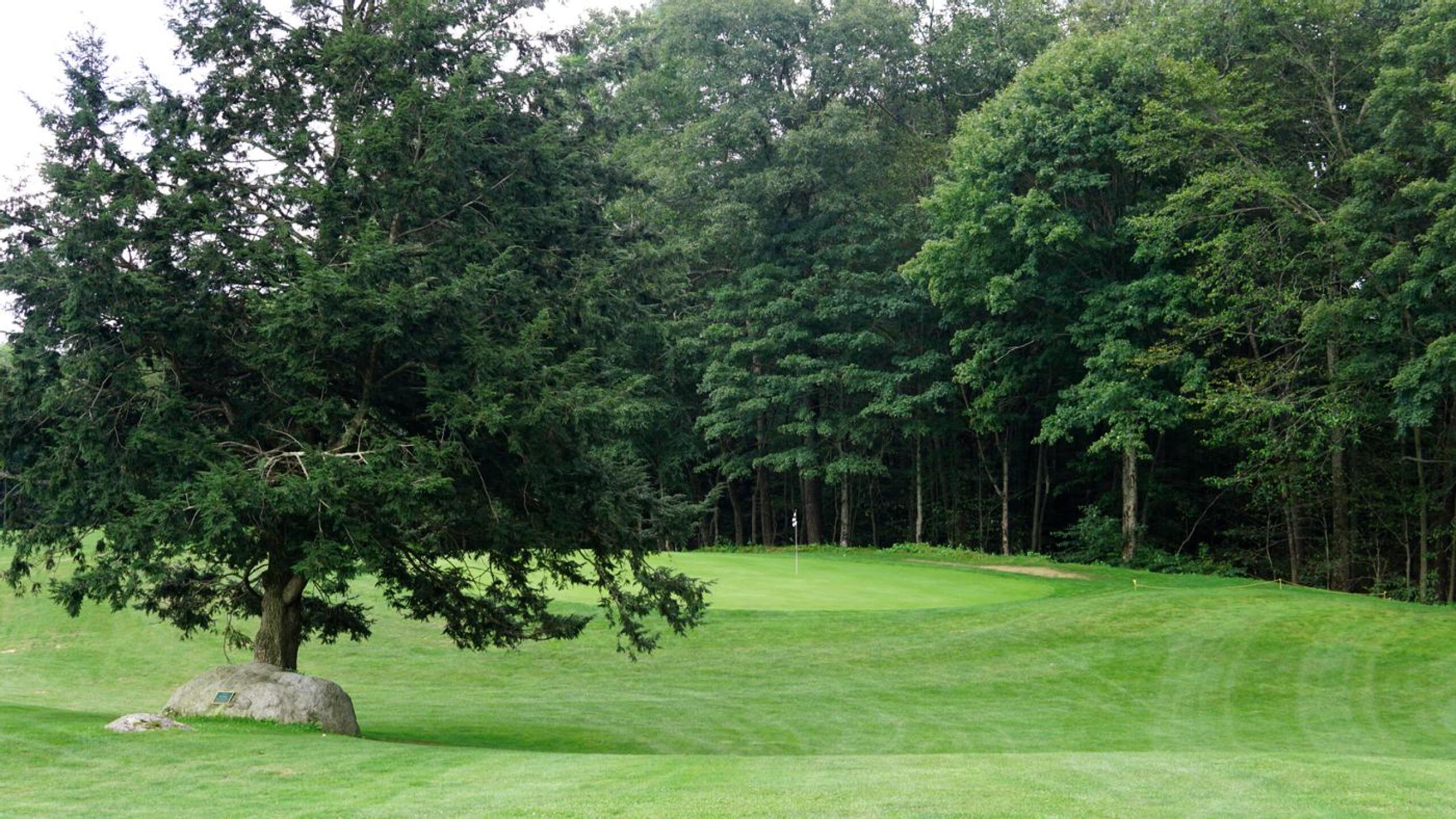Green six is well guarded by a sizable fir tree that intrudes upon the fairway. (Photo submitted by AptlyLinked on 09/08/2024)