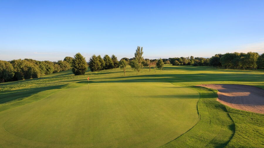 Isle of Wedmore GC: #14