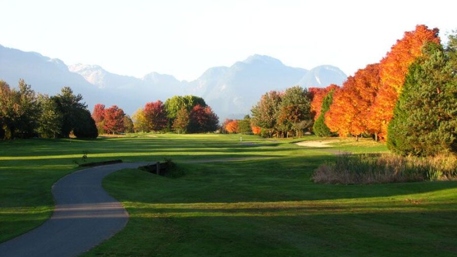 Golden Eagle GC