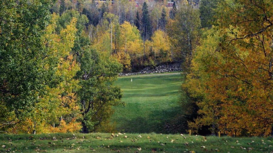 Lee GC: #6