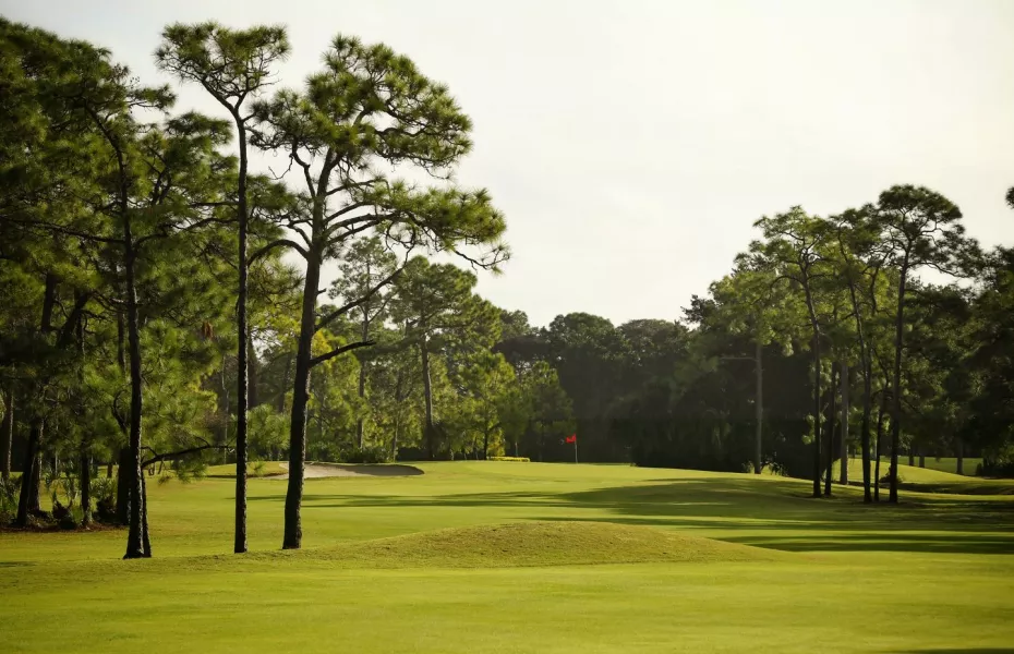PalmettoPine Country Club in Cape Coral, Florida, USA GolfPass PalmettoPine Country Club in Cape Coral, Florida, USA GolfPass