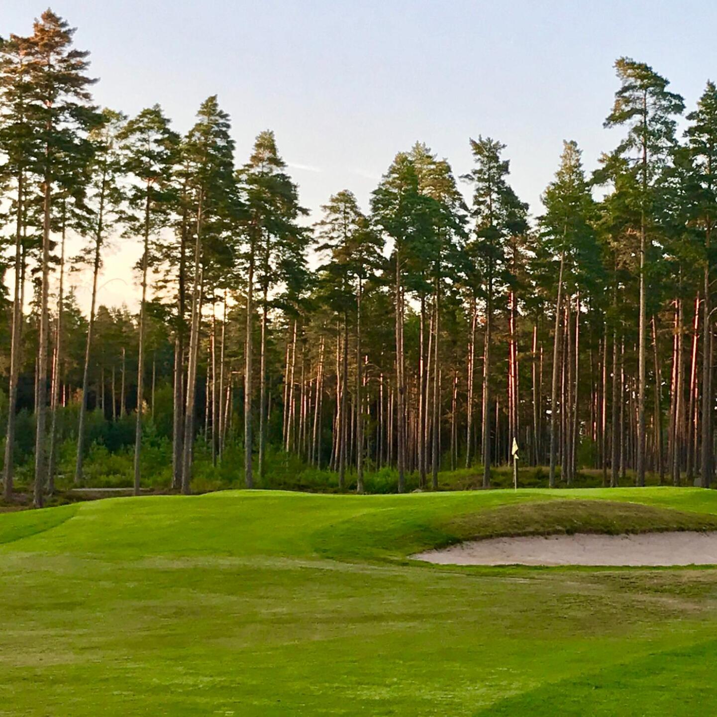 (Photo submitted by dss156 on 07/27/2019)