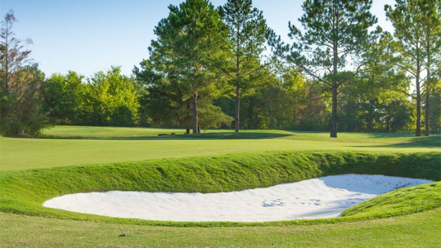 David Toms Academy 265