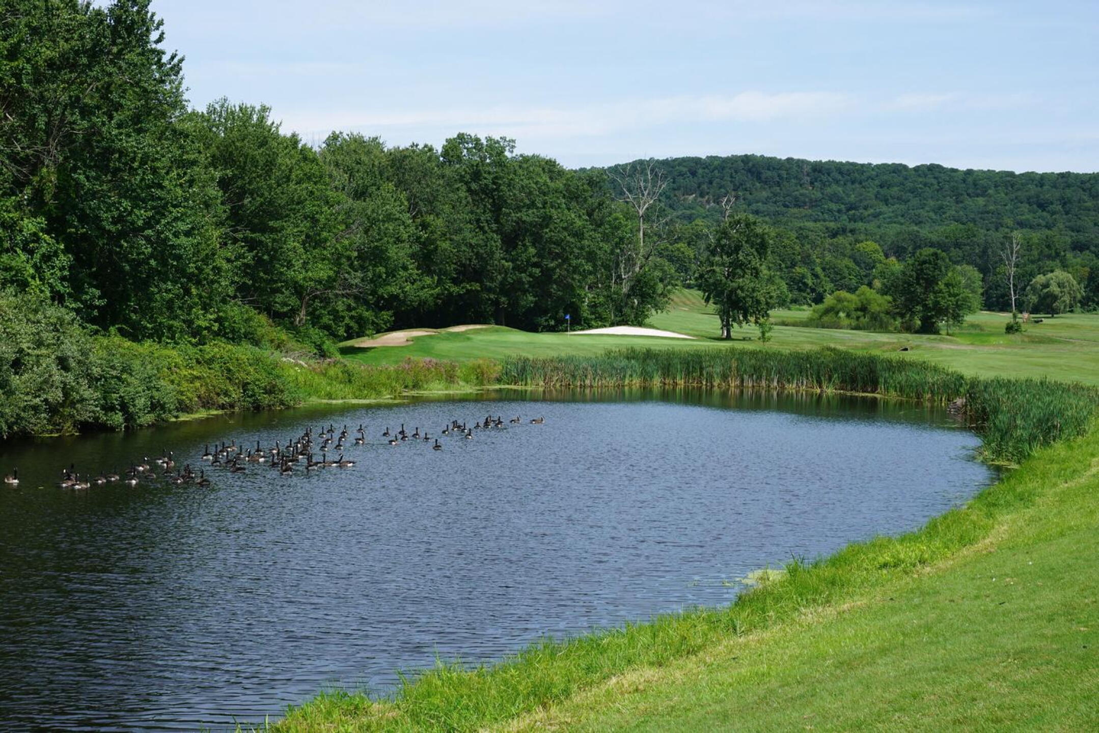 Short but testing, the par-4 third curves gently around a pond. (Photo submitted by AptlyLinked on 08/17/2021)