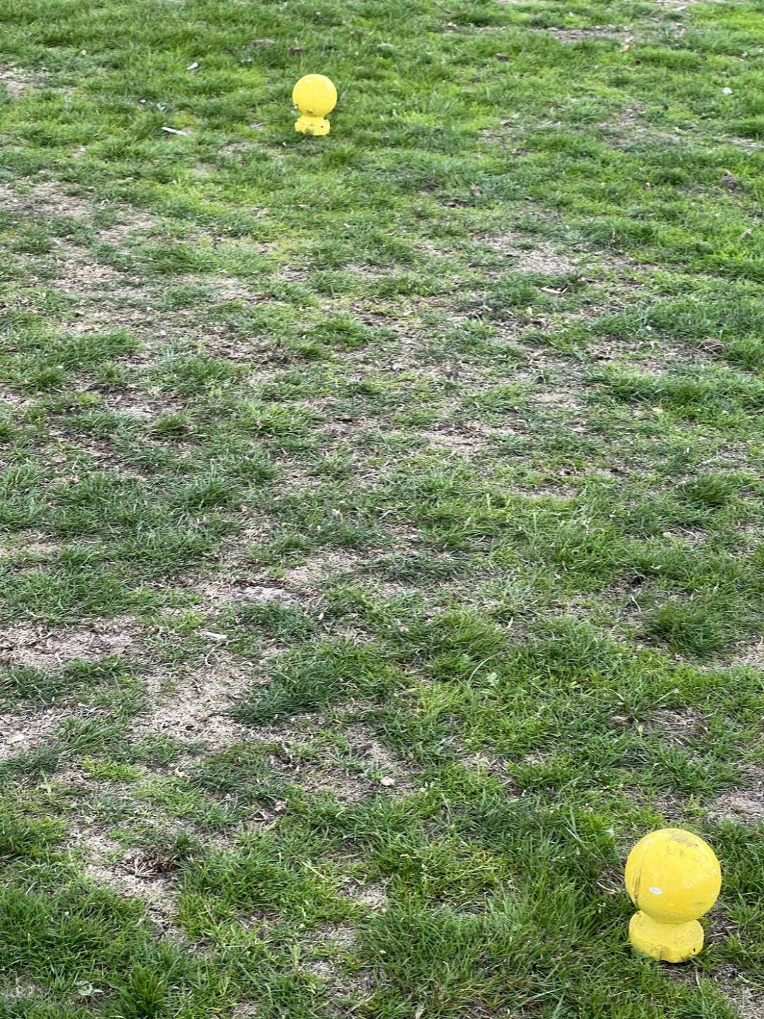 (Photo submitted by t2076755174 on 08/30/2023)