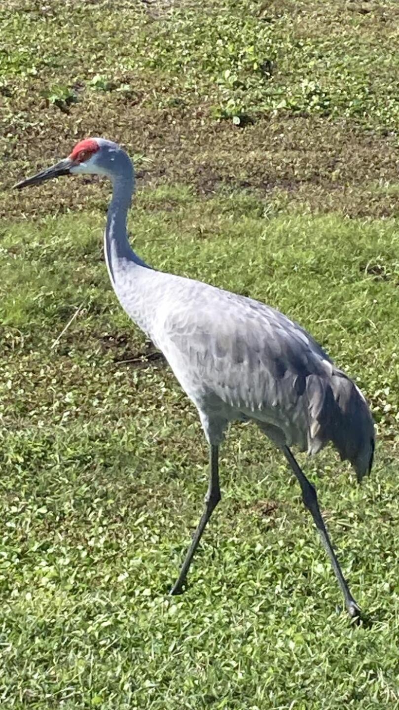 (Photo submitted by u314160938413 on 11/20/2025)