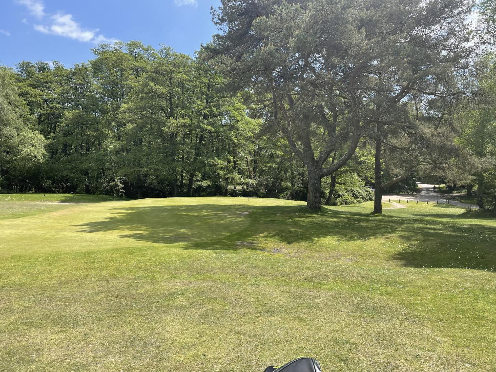(Photo submitted by u314162475877 on 05/27/2023)