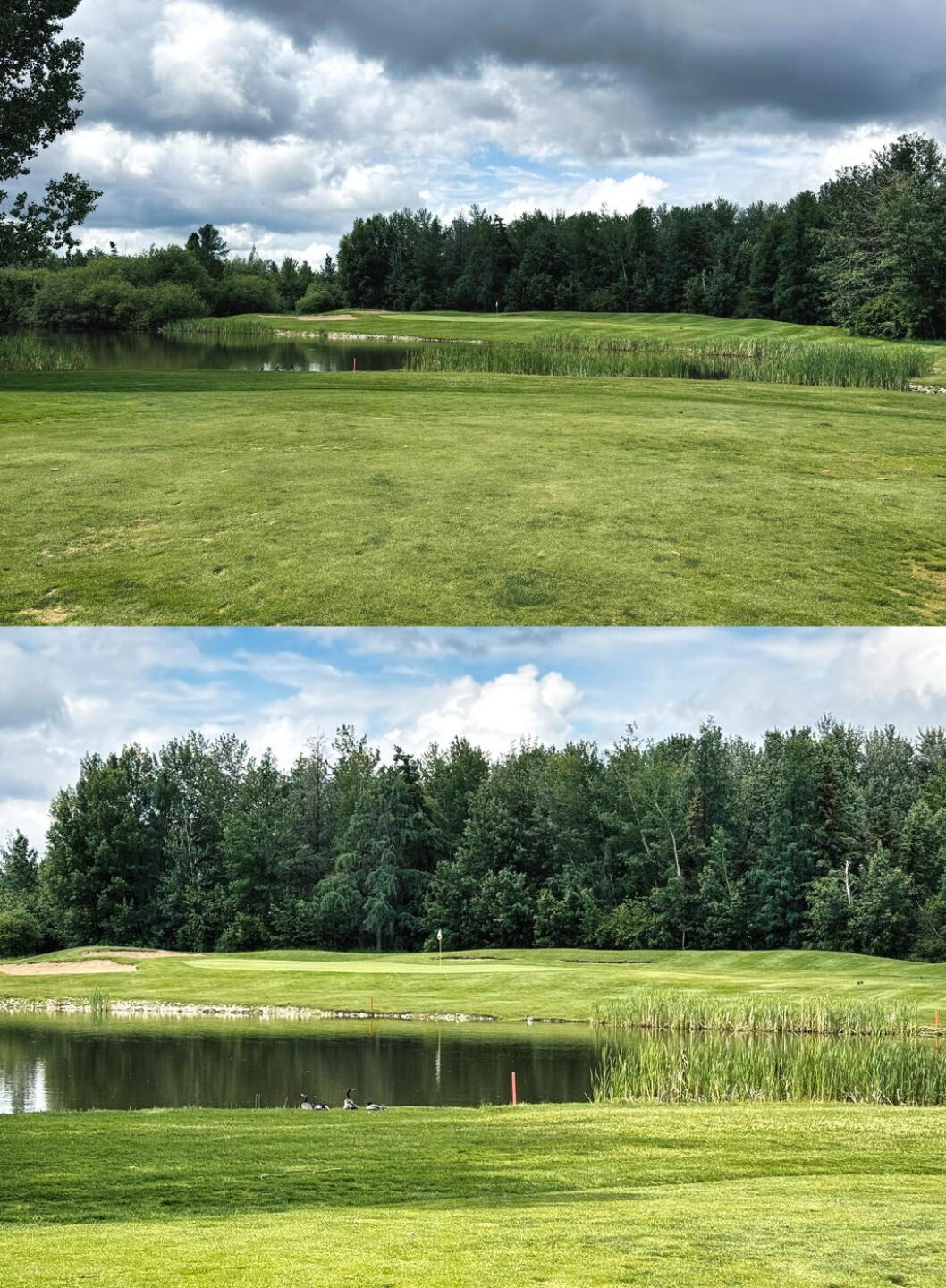 Lewis Estates GC, Hole 7, Par 4, 345 yds, 120 yds & 100 yds out (Photo submitted by DYakimec on 08/08/2026)