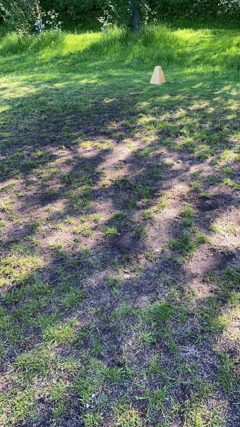 One of the tee boxes! (Photo submitted by t872318270 on 05/31/2021)