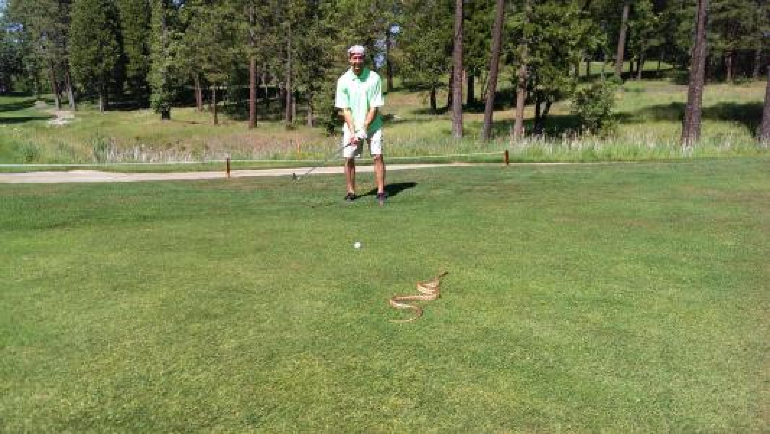 My buddy's ball nearly struck this snake, made for an entertaining second shot. (Photo submitted by JimboDean on 06/06/2014)