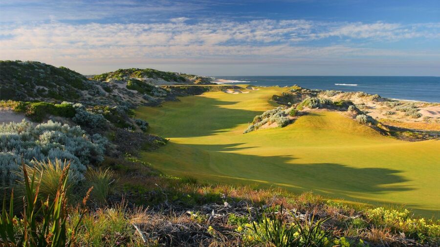 Cut GC: #12
