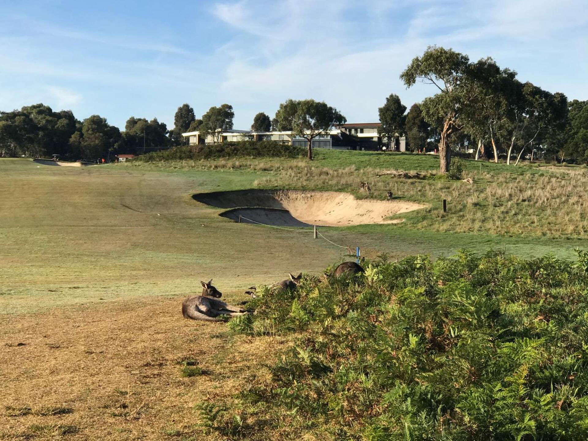 (Photo submitted by theglasseyegolfer on 06/21/2020)