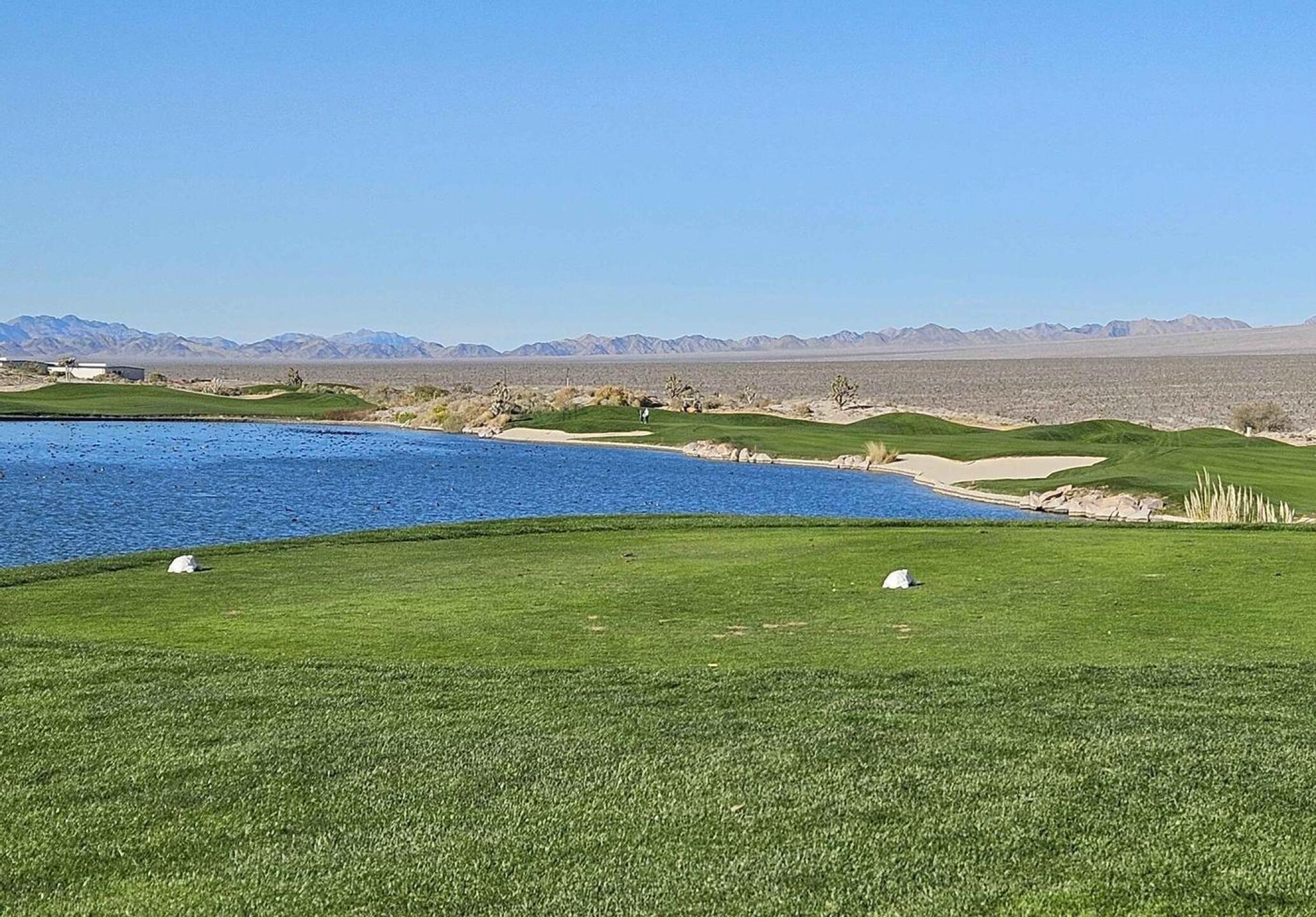 (Photo submitted by u314161622535 on 11/29/2025)