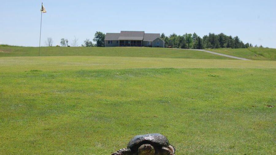 Country Meadows GC