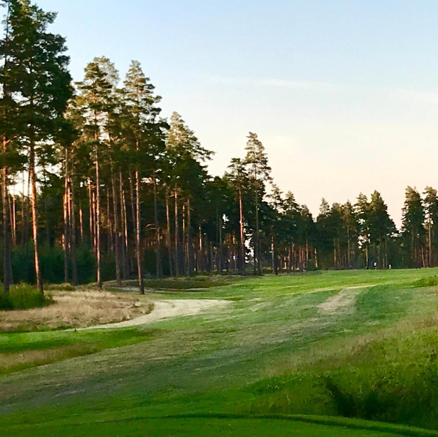 (Photo submitted by dss156 on 07/27/2019)