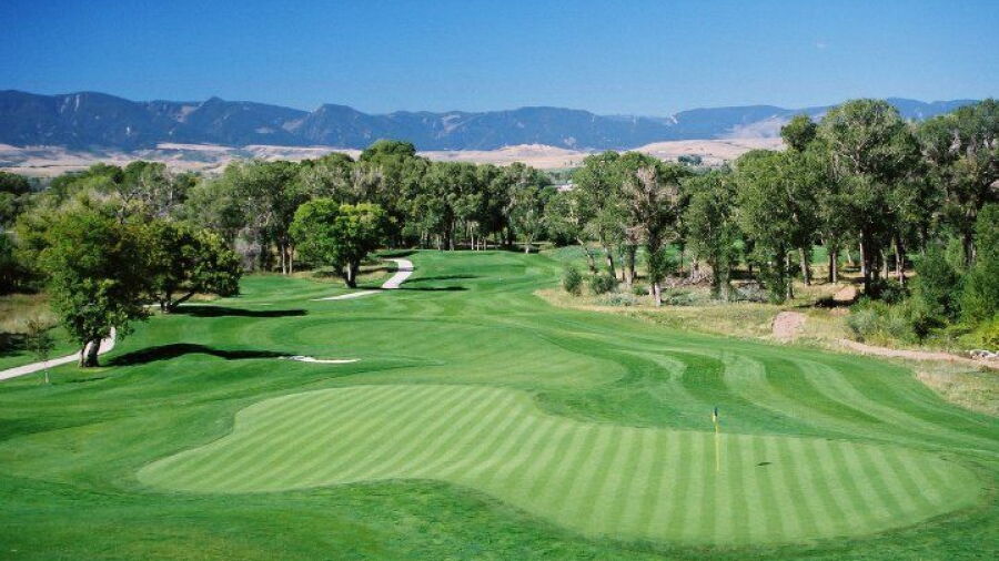 Powder Horn GC - Stag Nine: #8
