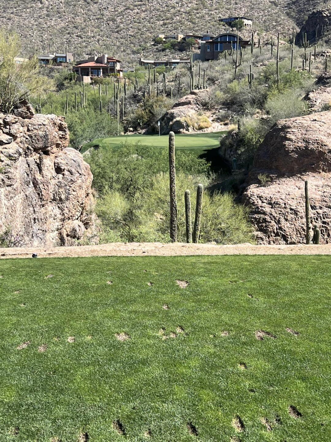 The signature #3 on the Mountain Course (Photo submitted by TucsonTom18 on 05/23/2026)