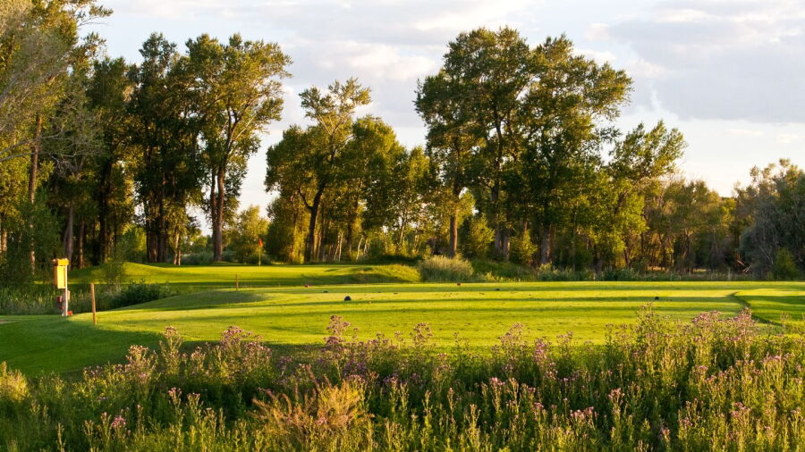 Cattails GC: #13