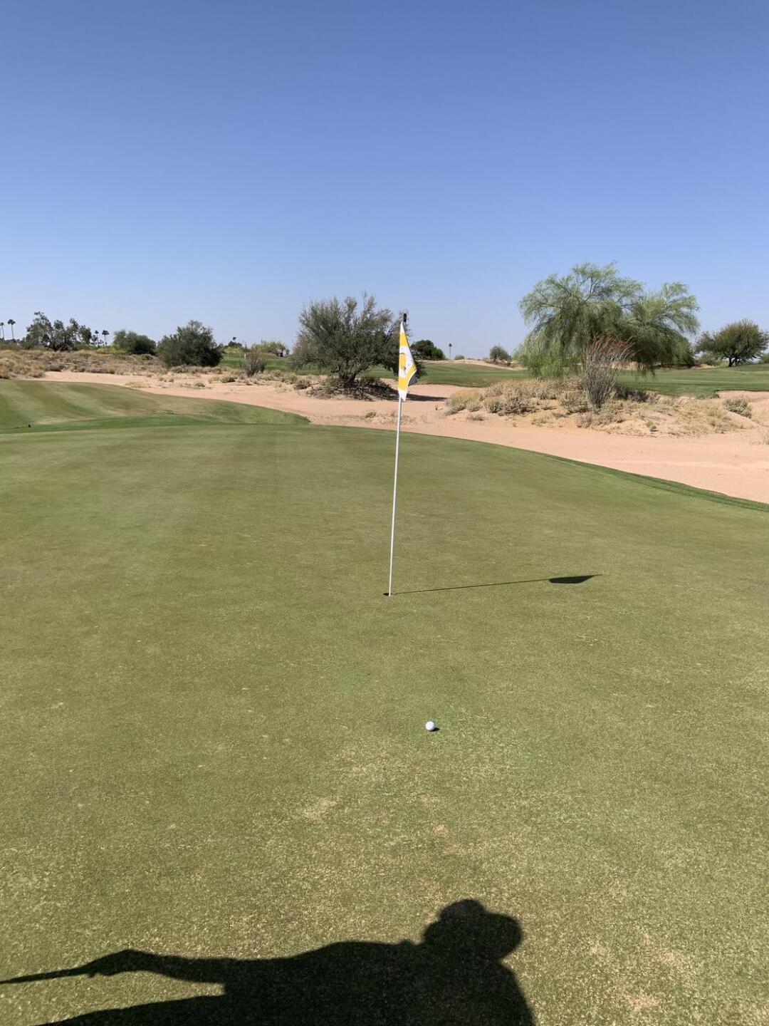 Ready for birdie. (Photo submitted by geobilladeau on 04/30/2022)