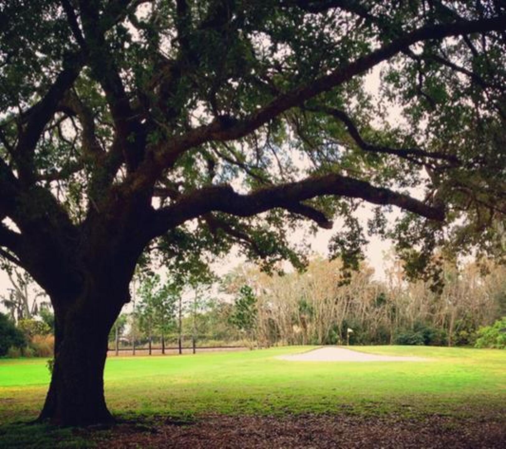 (Photo submitted by BrandonTuckerGA on 01/30/2015)