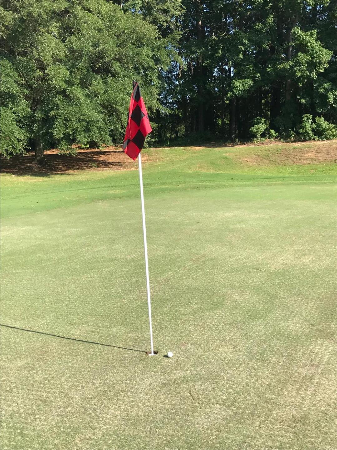 (Photo submitted by u6302418 on 08/12/2019)