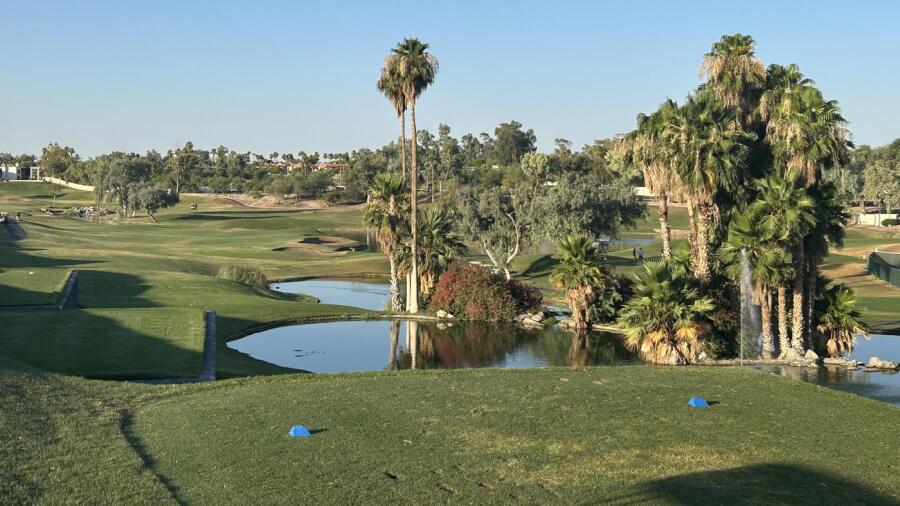 Arizona Grand Golf Course - palms