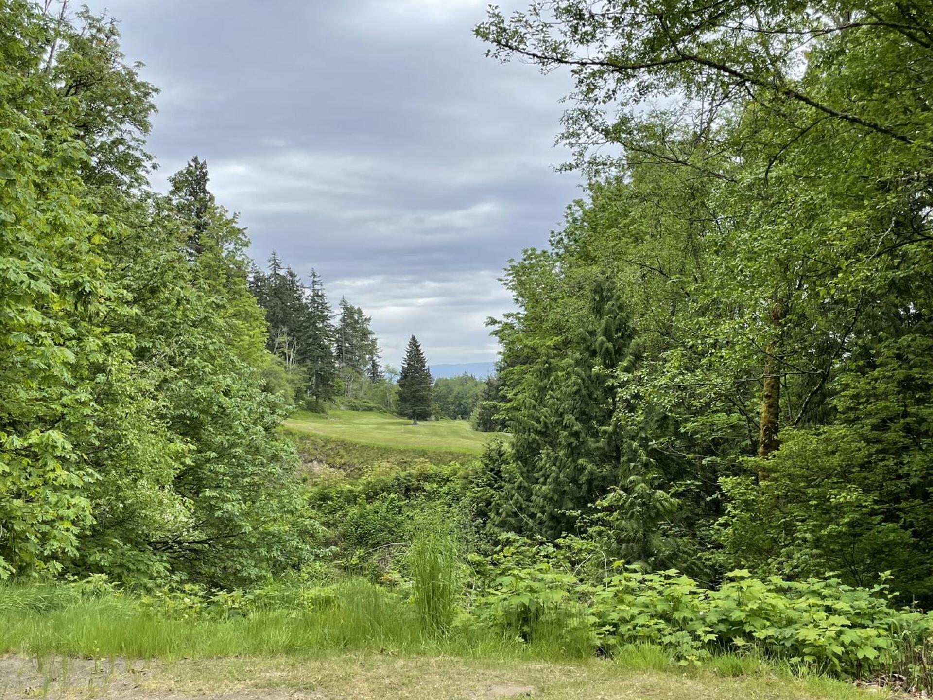 (Photo submitted by Drucifer5508 on 05/23/2022)