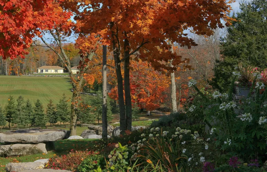 Black Bear Ridge GC