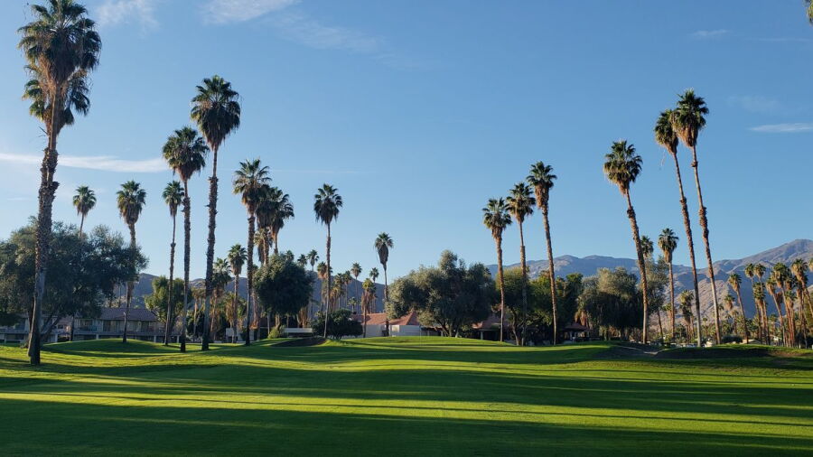 Mesquite GCC