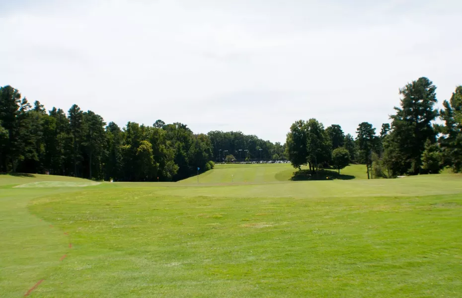 CC of Salisbury: Practice area