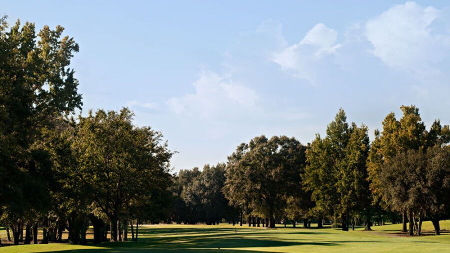 Lagoon Park GC: #6