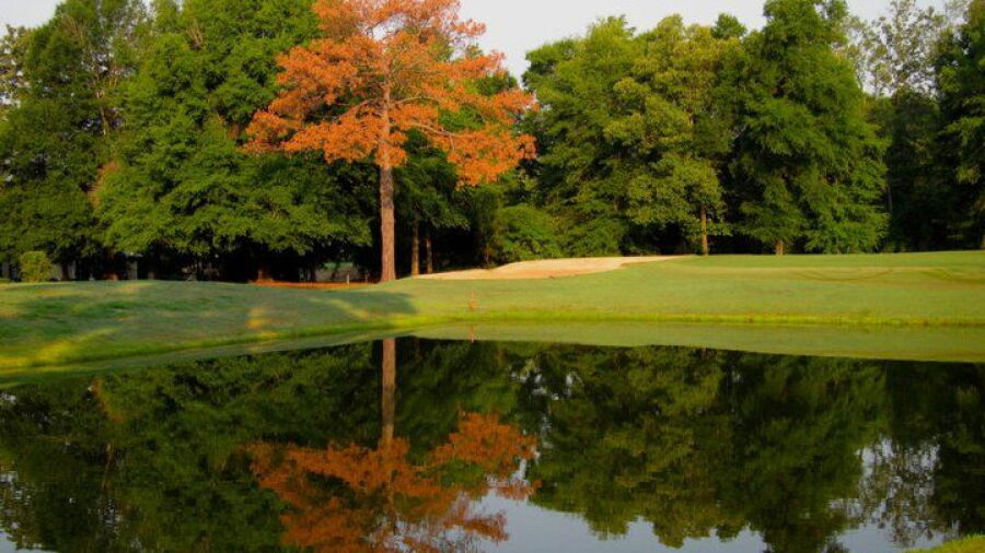 Houston Lake CC: #4