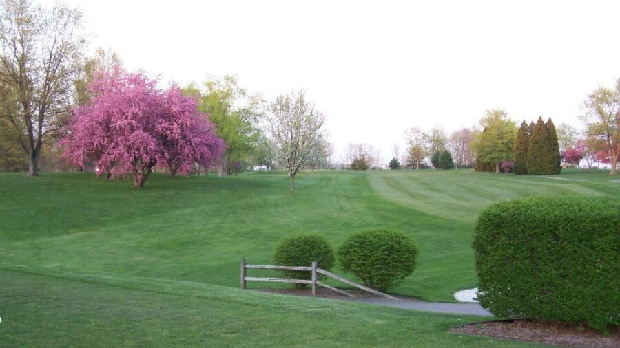 Hartley Hills CC