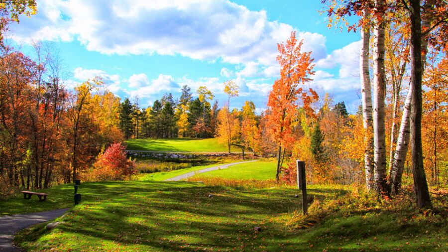 Crosswoods GC - High  Noon: #8