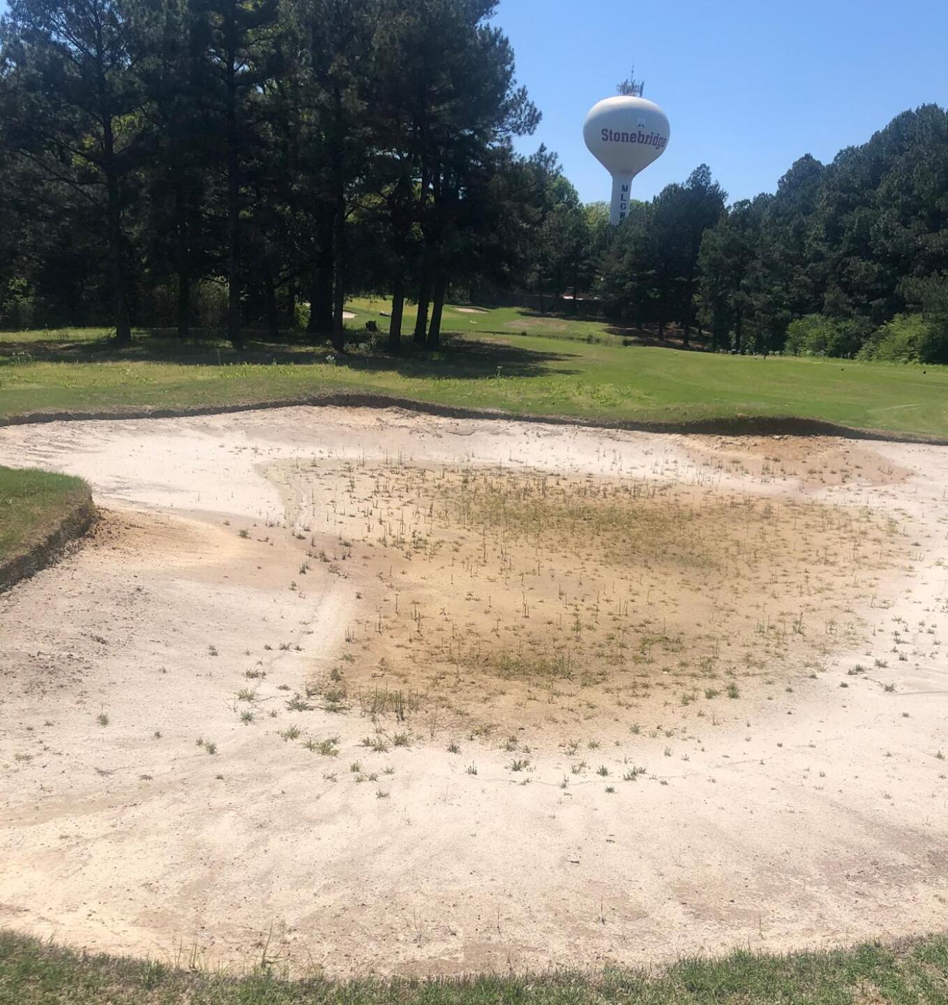 (Photo submitted by Tigersfan1 on 04/29/2020)