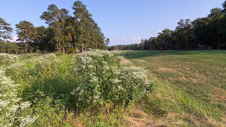 Harbor Pines Golf Club - 9th hole