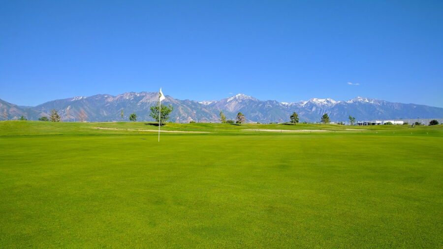 Golf The Round