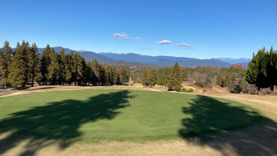 Enakyo CC - Pine: #3